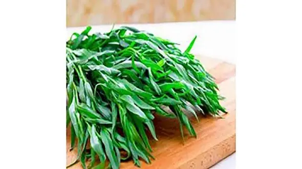 مرزه مناسب برای ریه شما