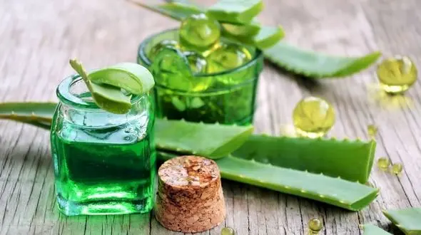 گیاهی شفابخش مرهم زخم های پوستی
