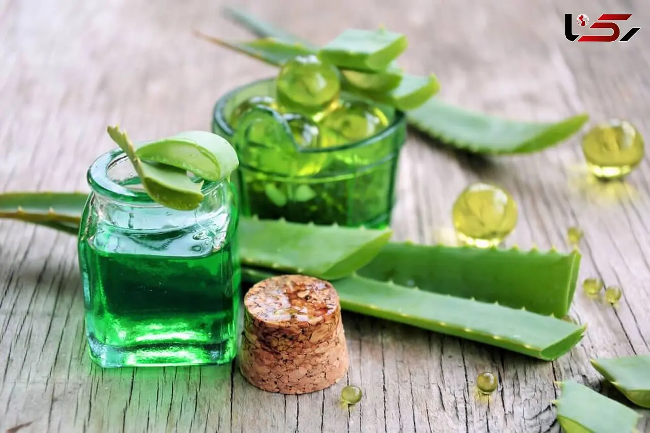 گیاهی شفابخش مرهم زخم های پوستی
