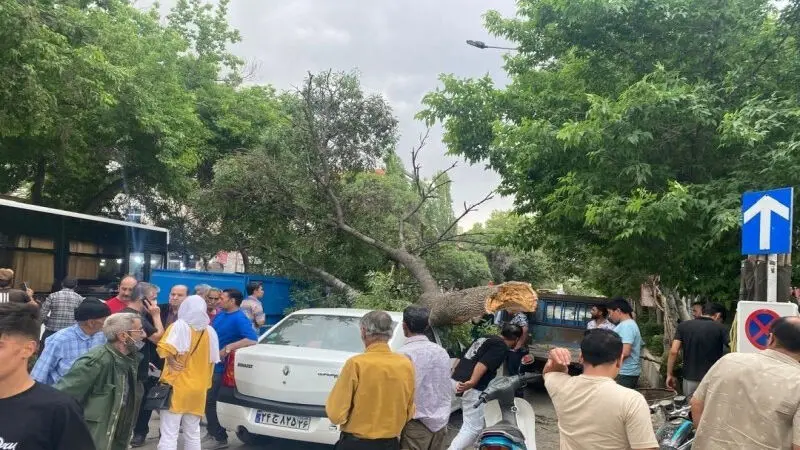 خسارت تندباد ۸۰ کیلومتری در بجنورد