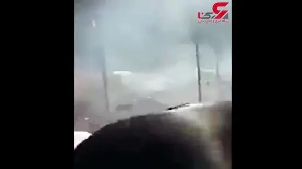  72 کبوتر را در ایران زنده زنده آتش زدند! + فیلم تکاندهنده