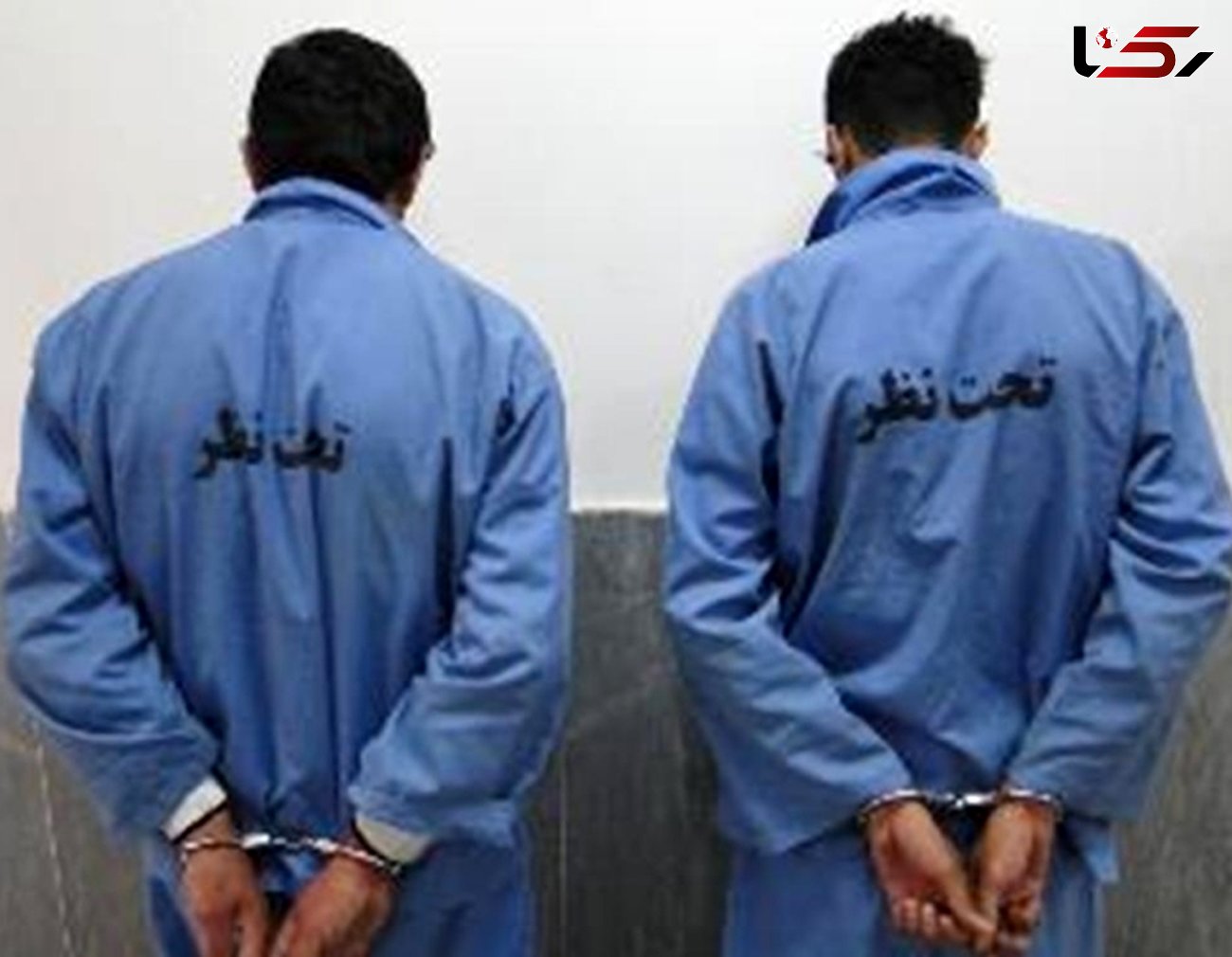 دستگیری سارقان حرفه ای و کشف 17 سرقت در شیراز