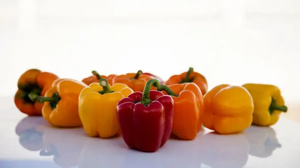 تفاوت فلفل دلمه های رنگی و خواص آن ها