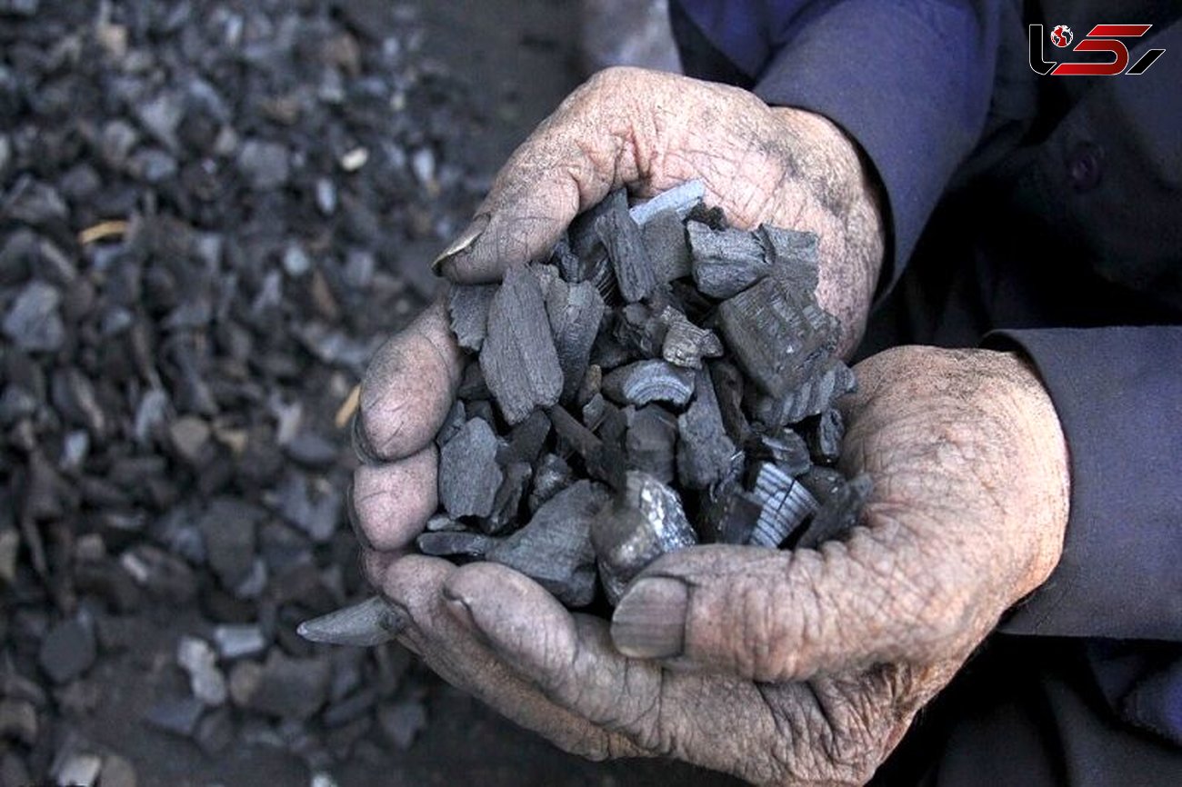 دستگیری چهار نفر بدلیل زغال گیری غیرمجاز در پارک ملی دز