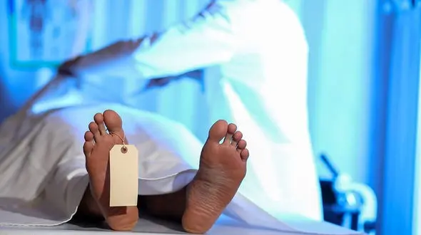 مرگ 15 زن و مرد کرمانشاهی با قرص برنج / 3713 زن و مرد نیز بخاطر درگیری راهی پزشکی قانونی شدند