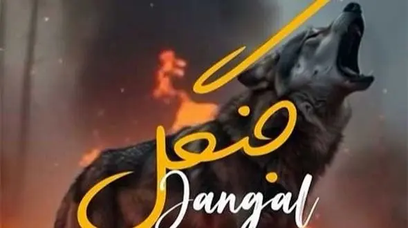 دانلود آهنگ جدید از گرشا رضایی به نام جنگل/جوجه های ده روزه جنگلی میسوزه + متن آهنگ