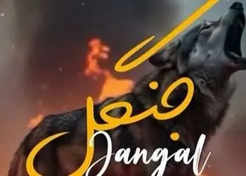 دانلود آهنگ جدید از گرشا رضایی به نام جنگل/جوجه های ده روزه جنگلی میسوزه + متن آهنگ