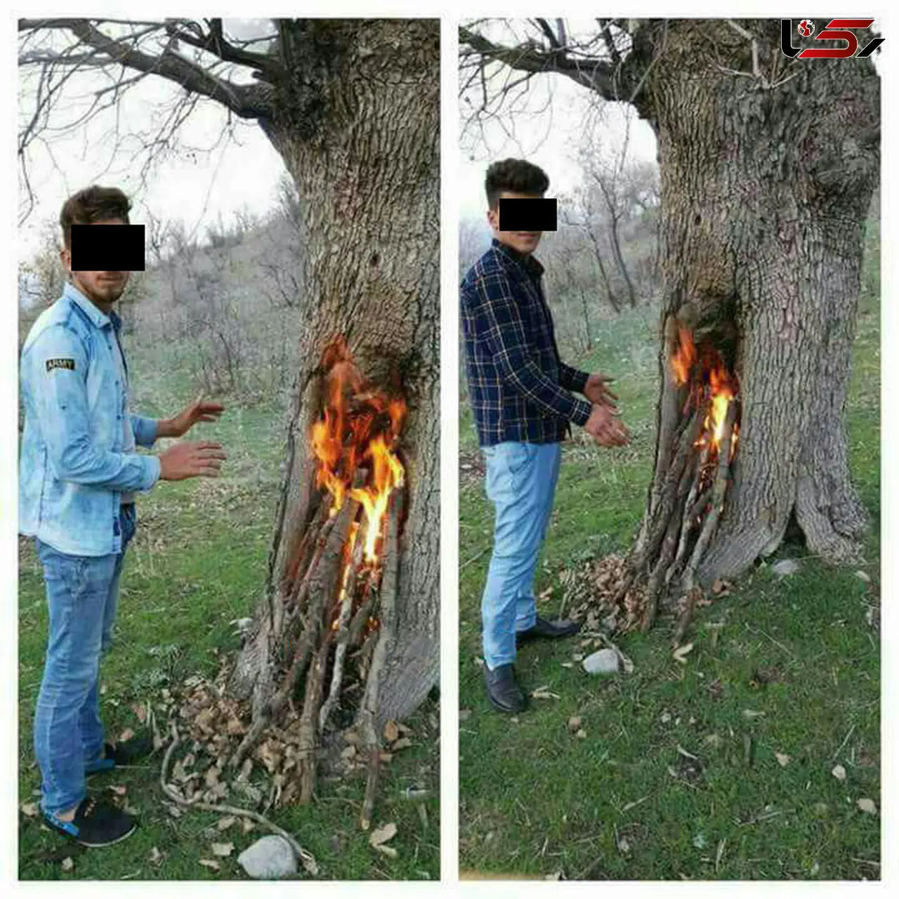 کثیف ترین عکس یادگاری 2 جوان در جنگل مازندران در روز سیزده بدر+تصاویر