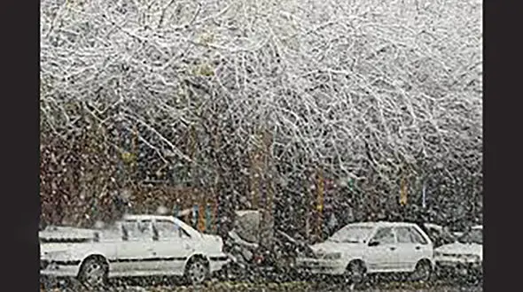 غول دریای سرخ هفته آینده در ایران / برف و کولاک در ۲۰ استان کشور