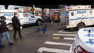 سگ مصنوعی به کمک پلیس آمد+عکس