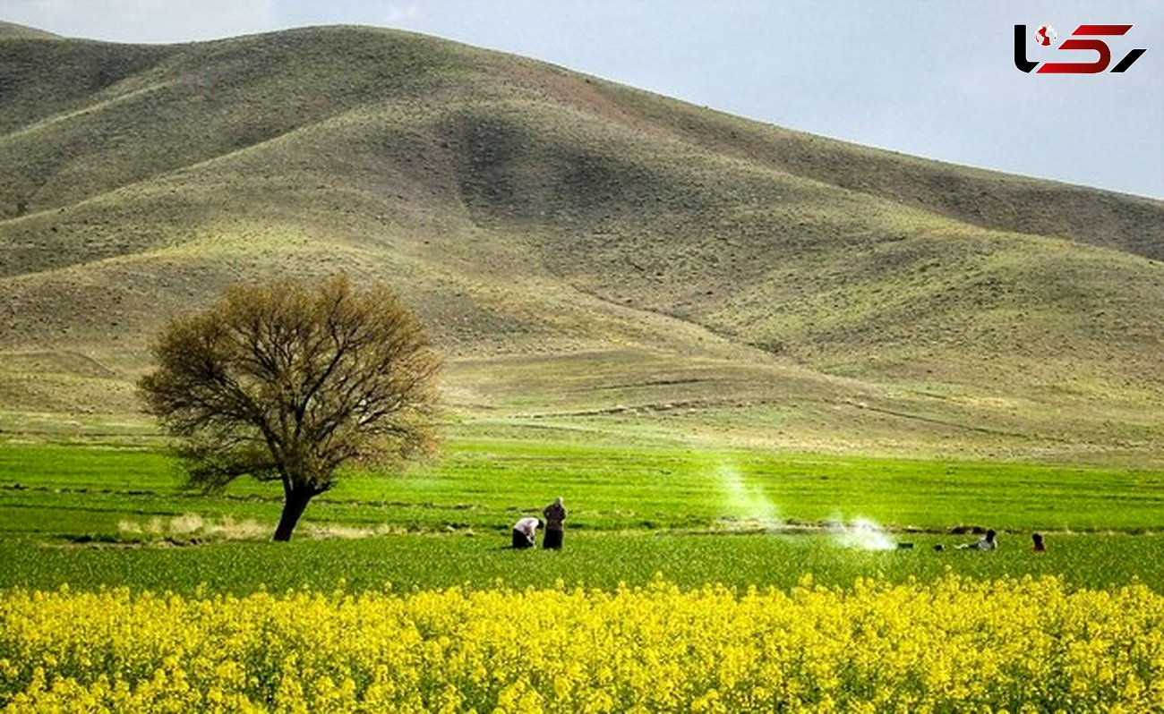 توسعه گردشگردی کشاورزی درلرستان نیازمند سرمایه گذاری است