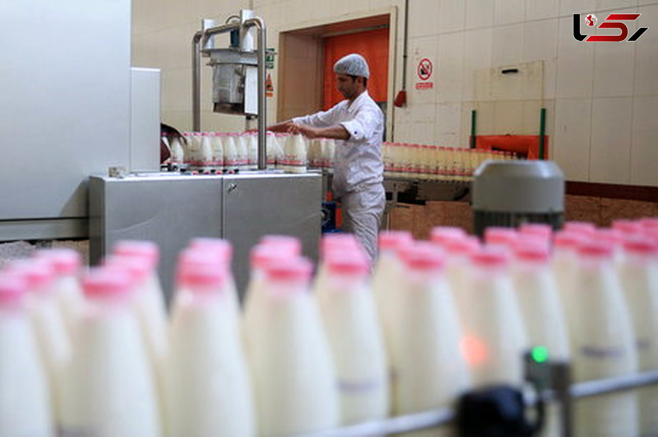 بهانه صنایع لبنی برای گران فروشی شیر