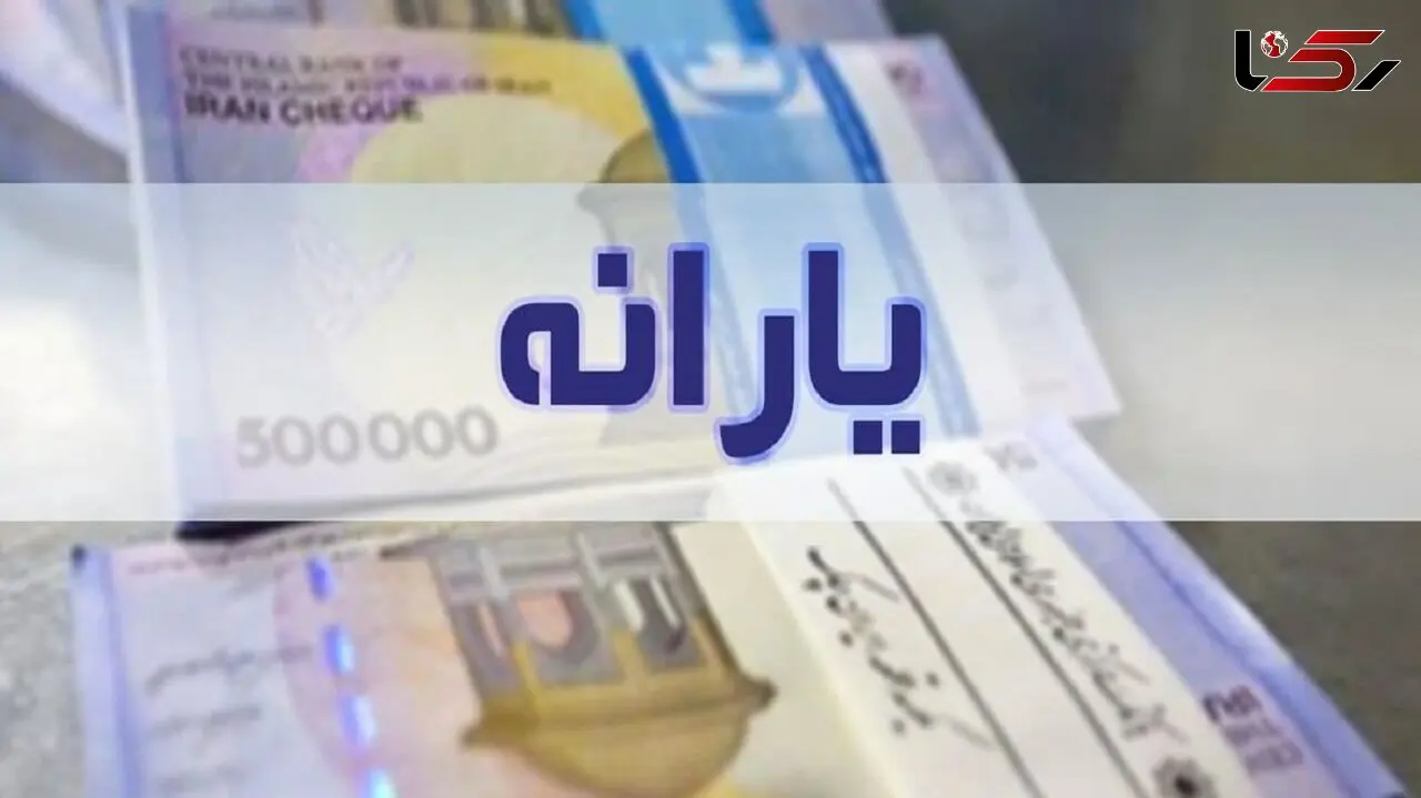 کدام خانوارها یارانه ۸۰۰ هزار تومانی می گیرند؟ / مجموع یارانه نقدی در سال ۱۴۰۱