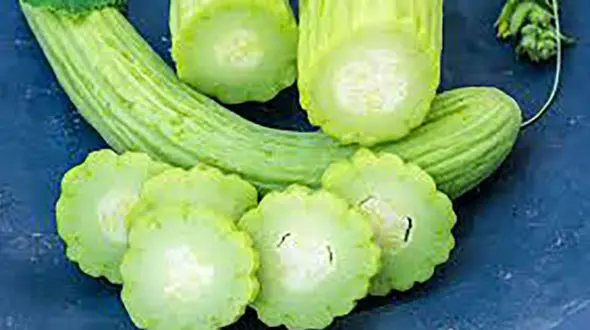 خیار چنبر، کاهش دهنده قند، فشار و چربی خون