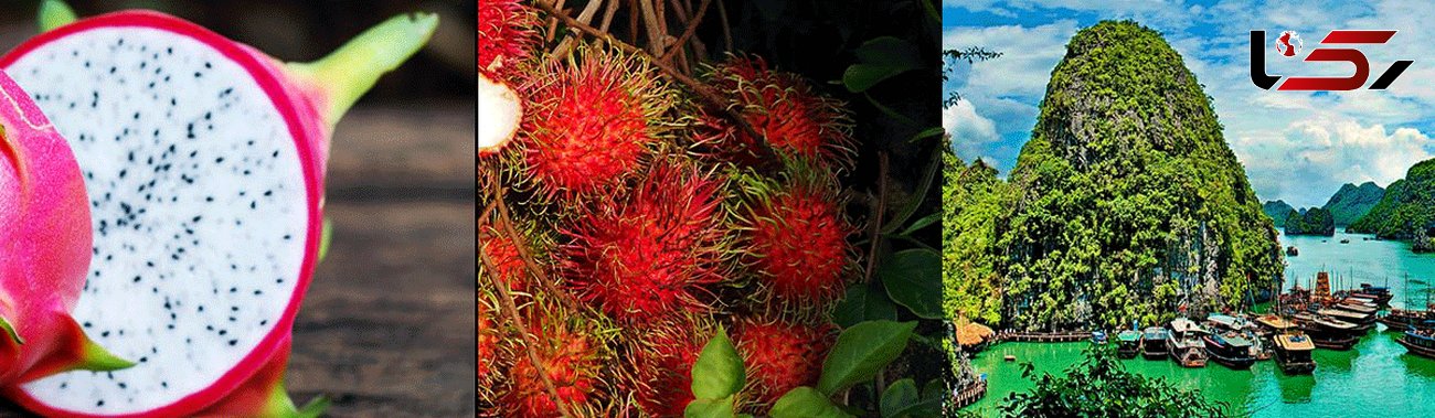 میوه های عجیب و غریب استوایی در تایلند  +عکس های دیدنی