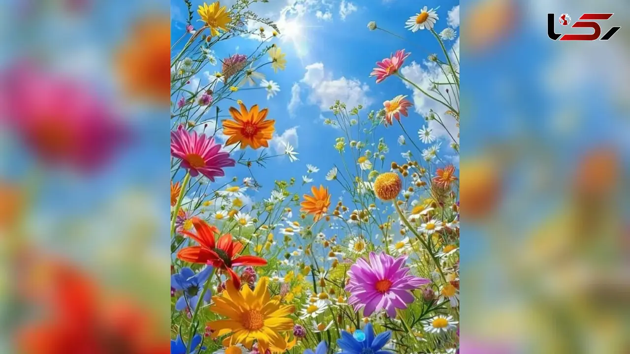 فال روزانه شنبه 11 خرداد 1404 