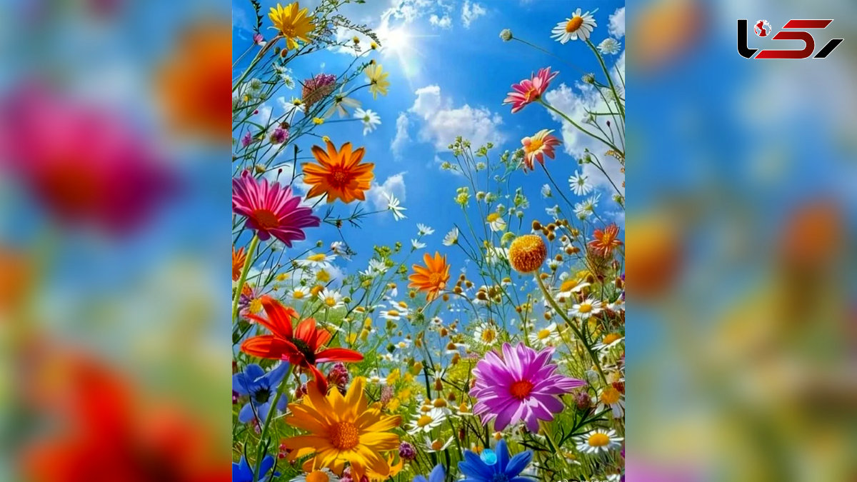فال روزانه شنبه 11 خرداد 1404 