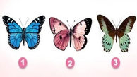 تست : یک پروانه را انتخاب کنید