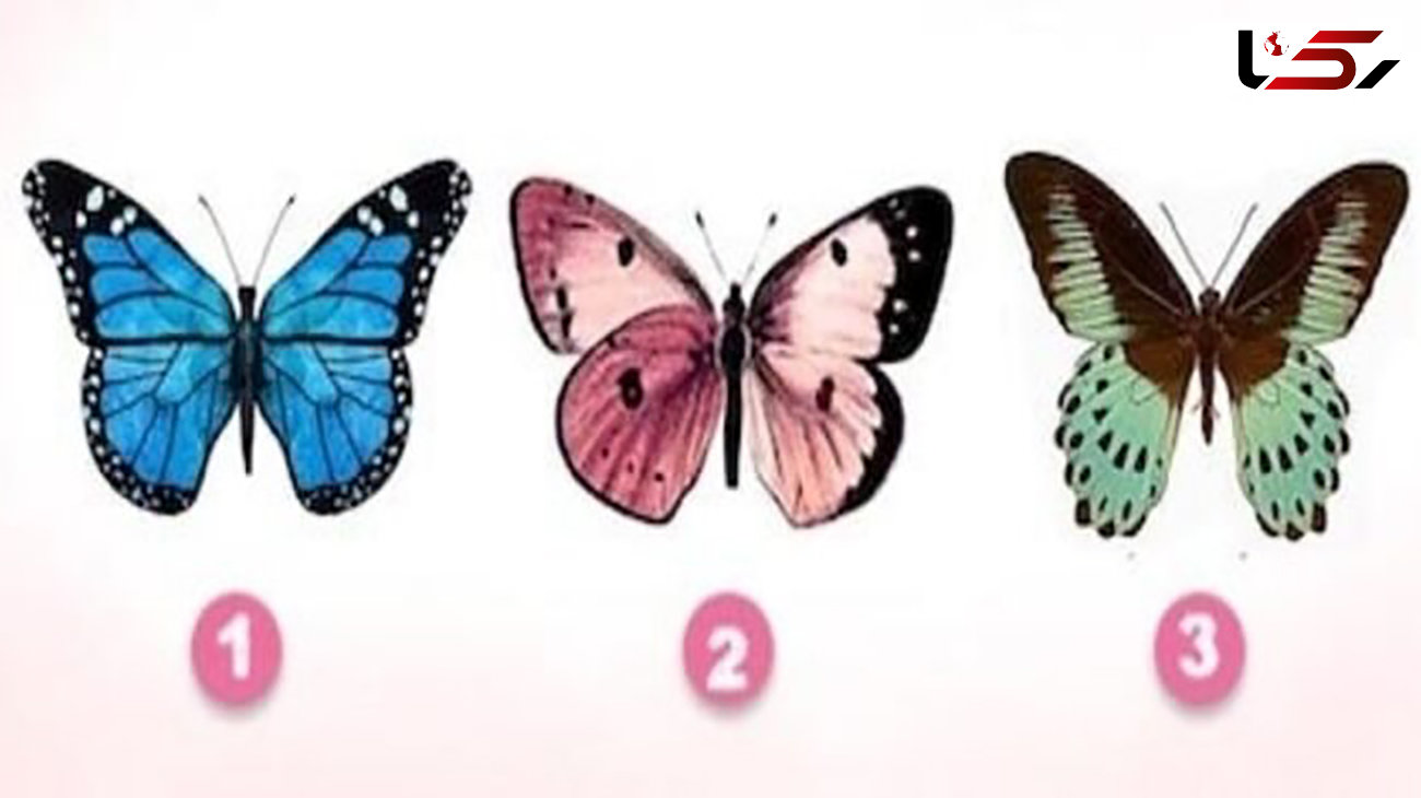 تست : یک پروانه را انتخاب کنید
