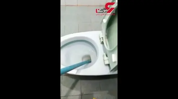 شوکه شدن این زن پس از دیدن صحنه ای وحشتناک در توالت خانه+ فیلم