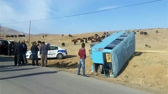 سرویس کارخانه رب چپ کرد / 4 کارگر زن و مرد زنجانی مصدوم شدند