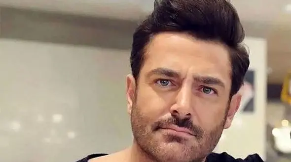 فیلم حیرت انگیز از کنسرت پر تماشاچی گلزار در لس آنجلس / واقعا صدا داره آخه !