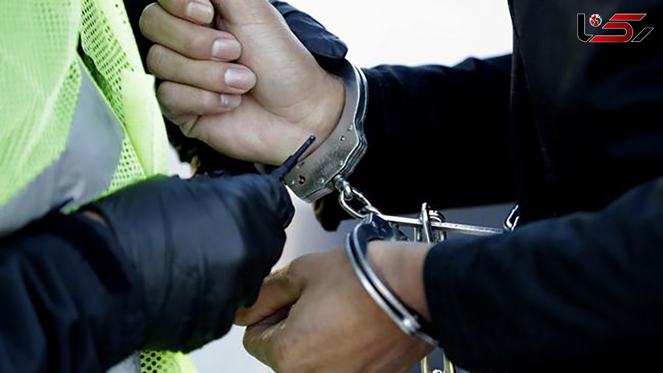 موبایل قاپ حرفه ای تهران بازداشت شد / پرونده ای با 30 فقره دزدی