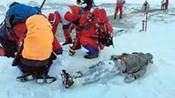 یخ زدن مرگبار 2 کولبر جوان در ارتفاعات برفی کردستان  + عکس