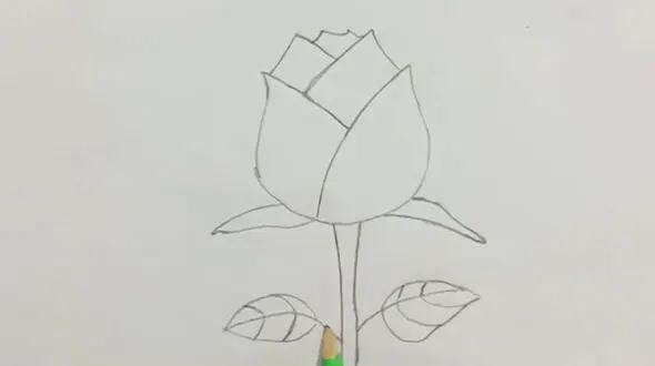 فیلم نقاشی گل رز ساده و زیبا