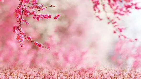 فال زندگی این هفته را بخوانید