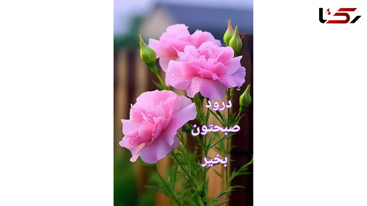 فال و طالع بینی امروز 10 خرداد 