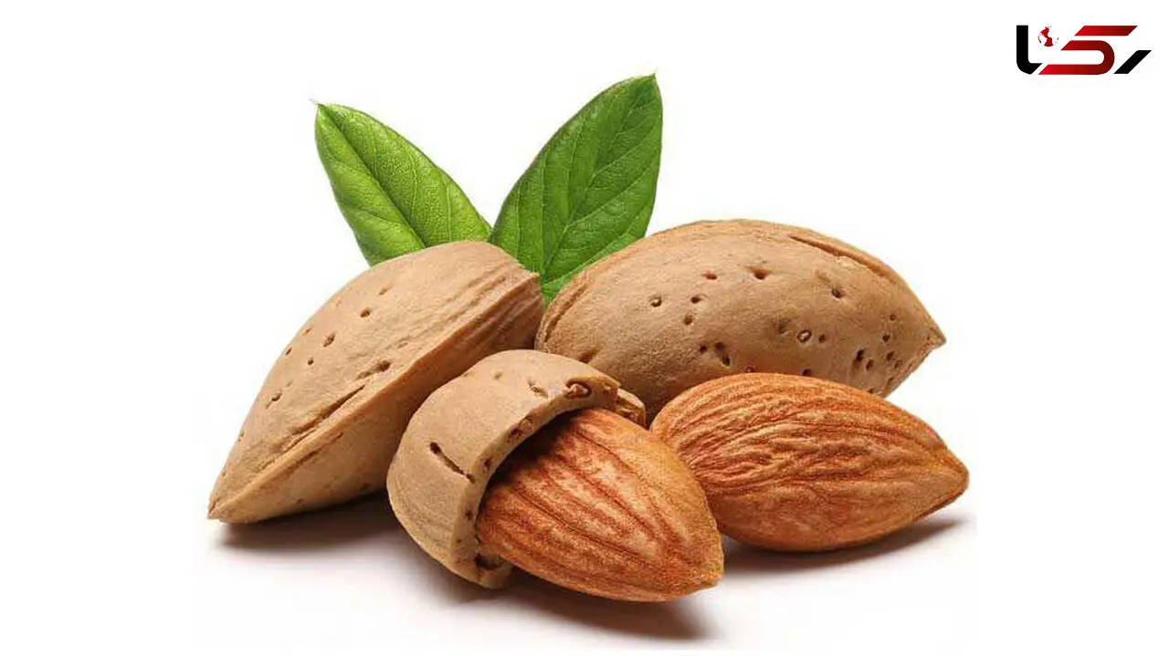 چطور قوای جنسی خودمان را قوی کنیم