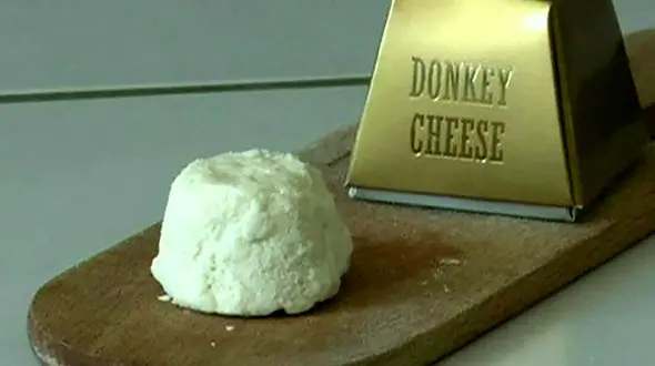 گران ترین پنیر جهان از شیر این حیوان است! / بدانید نمی خورید!