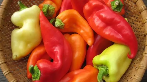 رژیم غذایی برای داشتن شکمی صاف!