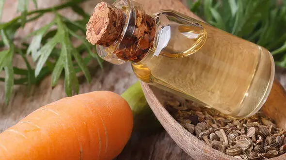 با روغن هویج موهایتان را تقویت کنید