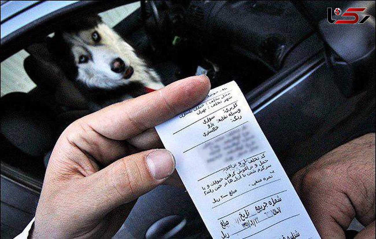 برخورد جدی پلیس با رانندگانی که سگ گردانی می‌کنند 