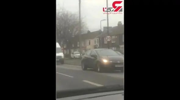 دوچرخه‌‌سواری به همراه سگ!+فیلم