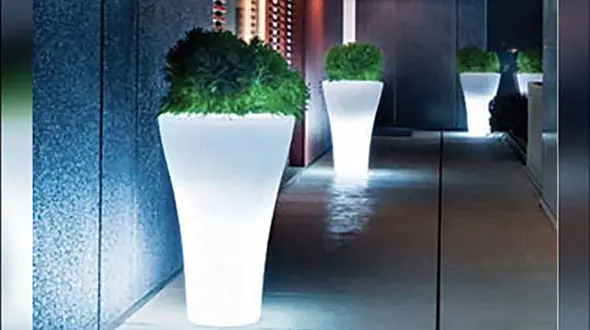 عکس / گلدان 32 میلیونی !