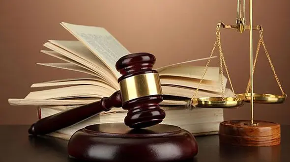 قتل مرد تهرانی در برابر چشمان دوست دختر / شیرین از فرار مسعود به آلمان گفت