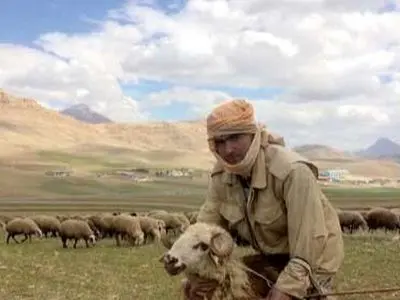 خلاقیت خنده دار چوپان با طراحی صندلی برای اُلاغش حماسه آفرید +عکس