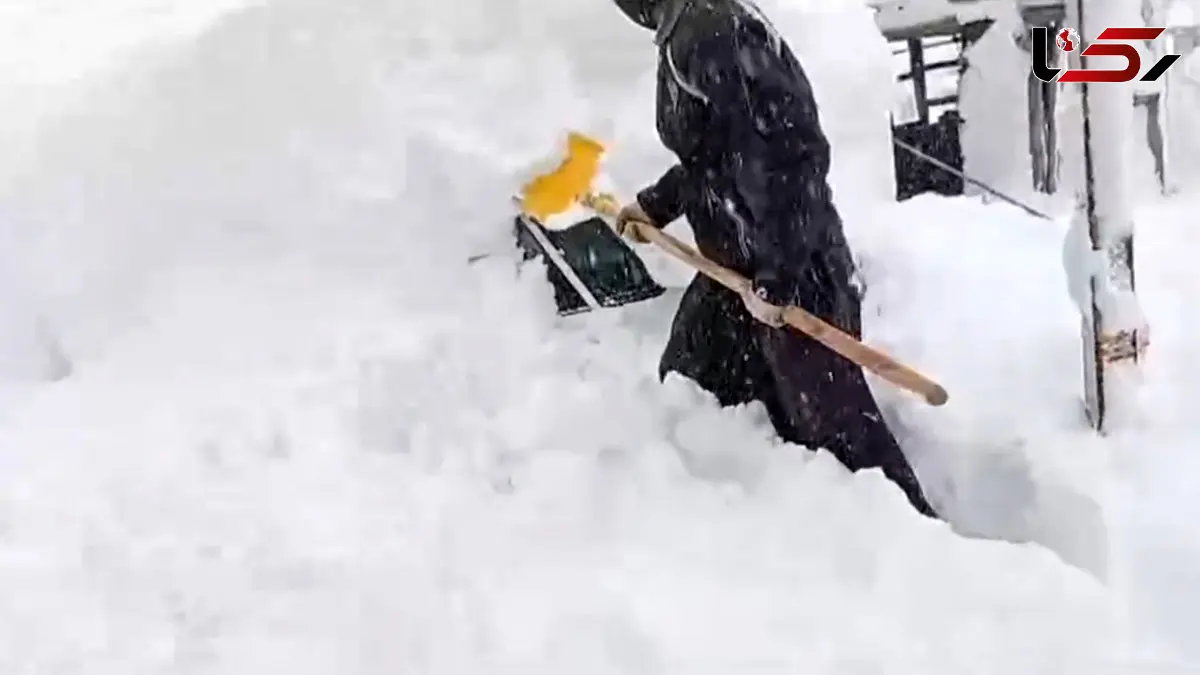 فیلم بارش سنگین برف و مدفون شدن ماشین ها در بانه