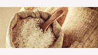 لغو ممنوعیت واردات برنج در فصل برداشت