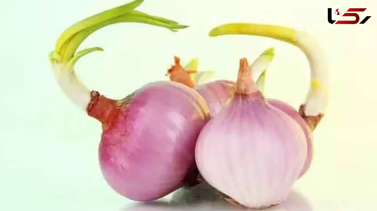 پیاز دشمن کبد چرب شماست + فیلم