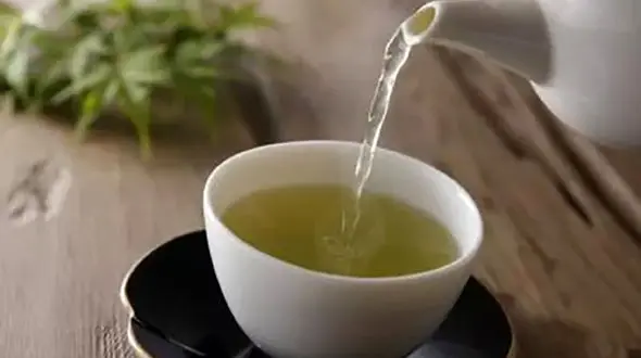 فواید چای سبز + اینفوگرافی