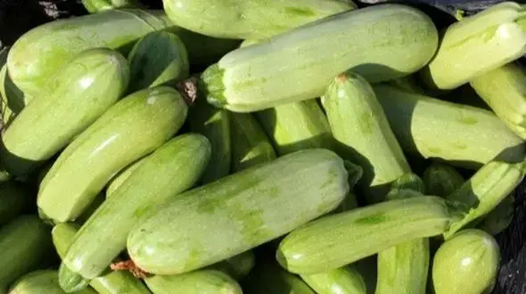 راز کاهش نفخ شکم با یک ماده غذایی