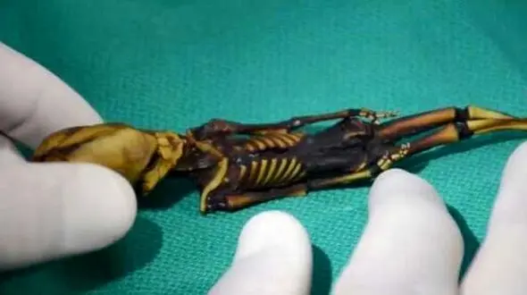 از اشیاء پرنده ناشناس تا مومیای مرموز کشف شده در پرو!+ جزییات و تصاویر