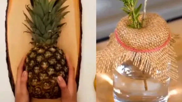 روش جالب کشت انواع میوه و سبزیجات + فیلم