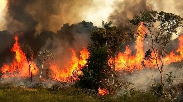 مرگ سه مرد روستایی در میان آتش های زاگرس / تنگه "هایقر" می سوزد، هواپیمای آب پاش ایران در ترکیه! + فیلم 