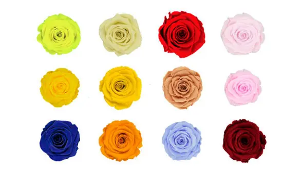 فال ابجد امروز / 10 مهر ماه + فیلم 