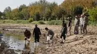 فاجعه زیست‌محیطی در زاینده‌رود؛ هزاران ماهی در بستر خشک رودخانه تلف شدند